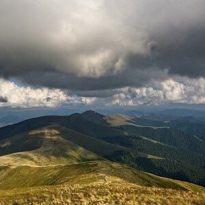 На неделю в Закарпатье из Одессы