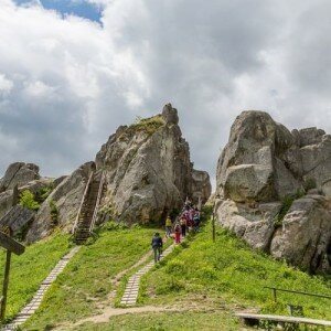 На неделю в Закарпатье из Одессы