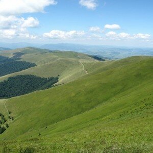 На неделю в Закарпатье из Одессы
