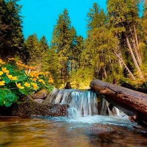 Майские праздники на Закарпатье из Одессы