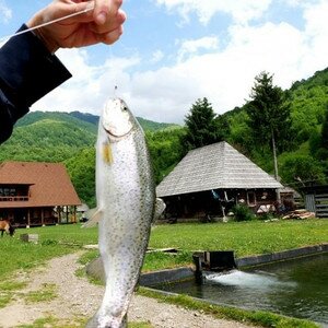 Майские праздники в Карпатах из Одессы