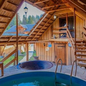 День Независимости в Карпатах из Одессы